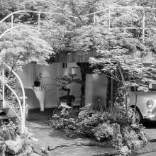 Выставка цветов и ландшафтного дизайна в Челси